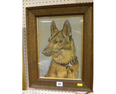 T McALLISTER oil on board - portrait of an Alsatian, 33 x 22 cms
