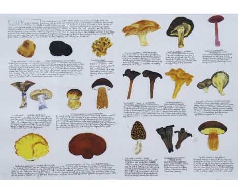 Richard Bramble (b. 1968): colour print, Fungi, pencil signed, 40 x 50 cm. Not available for in-house P&amp;P, contact Paul O