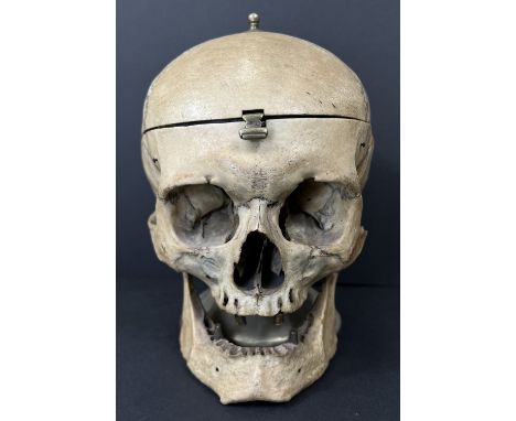 A human skull with hinged top opening to reveal silver plated storage / ashtray to the top, jaw bone detached and few teet re
