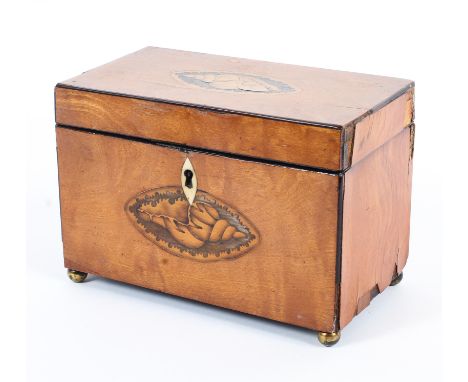 A Georgian satinwood marquetry inlaid tea caddy and cover, inlaid with shell vignettes, the interior fitted with two mahogany