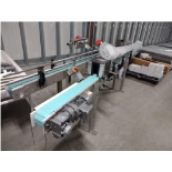 (Located in Evart, MI) TriPack Beverage Line Conveyor Sterilizer Assembly (2 Conveyors, 1
