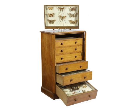 λ A VICTORIAN OAK WELLINGTON STYLE COLLECTOR'S CABINET OF BUTTERFLIES AND MOTHSMAINLY SOUTH AMERICAN, LATE 19TH CENTURYwith s
