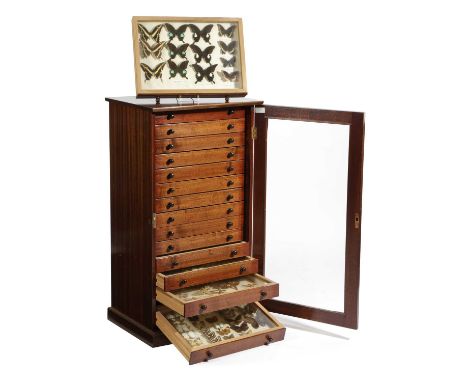 λ A MAHOGANY COLLECTOR'S CABINET OF SOUTH AMERICAN AND AFRICAN BUTTERFLIES AND MOTHS20TH CENTURYwith a glazed door enclosing 