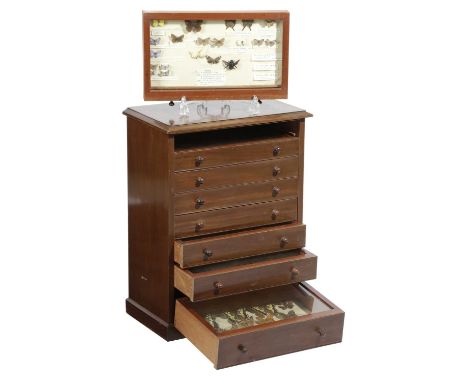 λ A MAHOGANY COLLECTOR'S CABINET OF BRITISH AND WORLD BUTTERFLIES AND MOTHS20TH CENTURYwith eight glass topped drawers contai