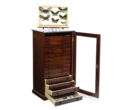 λ A MAHOGANY COLLECTOR'S CABINET OF WORLD BUTTERFLIES AND MOTHS20TH CENTURYthe glazed door enclosing fifteen glass topped dra