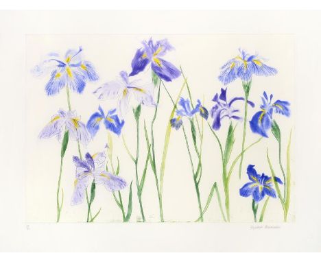 Dame Elizabeth Violet Blackadder DBE, RA, RSA (b.1931) Scottish ''Irises'' Signed and numbered 22/50, etching, 62cm by 82cm E