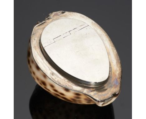 A SCOTTISH PROVINCIAL SILVER MOUNTED COWRIE SHELL SNUFF MULL, C1800  with integral hinge, 7.5cm l, maker's mark - K struck tw