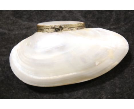 A 19th century snuff box. Formed of two joined shell halves, the exteriors polished to reveal the mother of pearl. The hinged