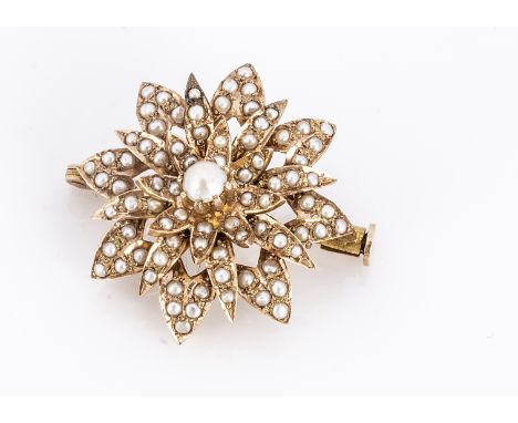 A seed pearl and yellow metal flower brooch, with central pearl and leaf half cut pearls, pin back 3.5 cm wide, 11.5g