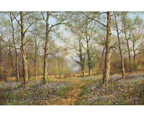 JAMES WRIGHT (1935-) PHEASANTS IN WOODLAND Y SignedOil on canvas38.5cm x 59cmPainting in very good condition, no apparent dam