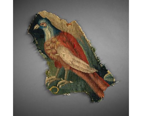 A FRAGMENT OF AN ENGLISH TAPESTRY DEPICTING A HAWK  LATE 17TH CENTURY  Unmounted  47.5cm long overall, 33cm diagonal      Con