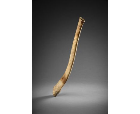 Y A LARGE WALRUS 'PENIS BONE' BACULUM HAND CLUB  ARCTIC/BERING STRAIT, 19TH CENTURY OR EARLIER  59cm long    Provenance:  Ex 