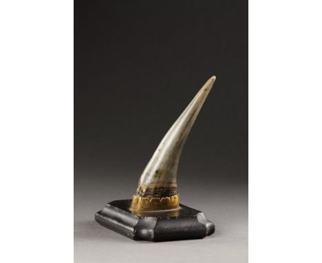 AN UNUSUAL KUNSTKAMMER HORN MOUNTED TROPHY  GERMANY OR ITALY, 17TH/18TH CENTURY  Gilt metal mounts to the mountain goat horn,