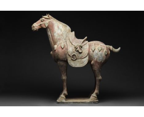 Tang Dynasty, Ca. 618-907 ADA large and beautiful hollow-moulded terracotta horse, modelled in a standing pose on a square ba