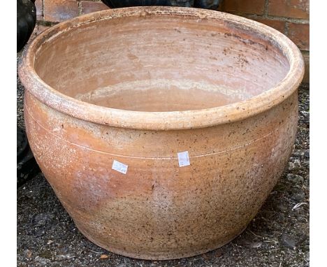 A large terracotta plant pot, 49cmD 