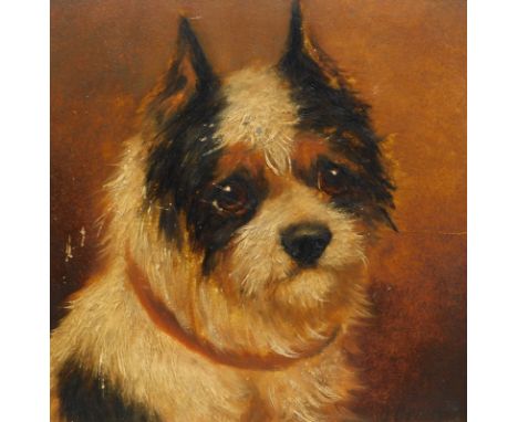 19thC Continental School. Portrait of a dog, oil on board, indistinctly signed, 21cm x 21cm. 