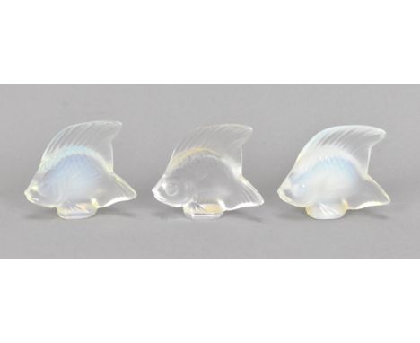 Three Lalique glass tropical fish models, comprising two opalescent ones and a clear/frosted one, each of same size with etch