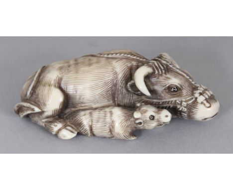 A SIGNED JAPANESE MEIJI PERIOD TOMOTADA STYLE IVORY NETSUKE OF A RECLINING OX, in the company of its young, the coats engrave