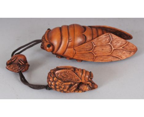A SIGNED GOOD QUALITY JAPANESE ONE CASE BOXWOOD INRO, the inro carved in the form of a cicada, the matching netsuke and ojime