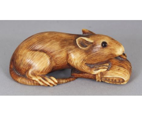 A GOOD QUALITY JAPANESE MEIJI PERIOD STAINED IVORY NETSUKE OF A RAT, its eyes inlaid, its tail forming the himotoshi, 1.9in l