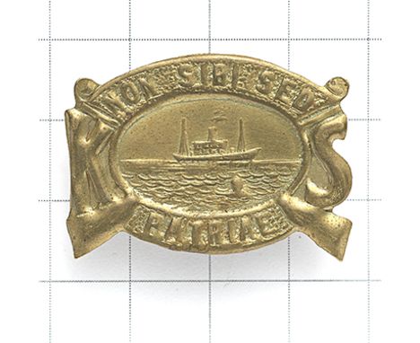 South Africa. Karoo Schutters OR’s pressed sheet brass slouch hat badge circa 1914-29. On crossed rifles, an oval ‘NON SIBI S