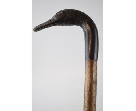 Traditional hand crafted walking stick, horn handled, in the form of a duck's head, ash (or similar) shaft, 133cm long.  Coll