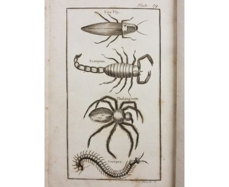 R. Morison & Son, publisher. The Natural History of Insects, compiled from Swammerdam, Brookes, Goldsmith, &c. Intended as a 