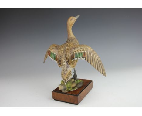 A Royal Worcester American Pintail Hen (Dafila Acuta) modelled by Ronald Von Ruyckveltt, numbered 291 and incised 291, black 