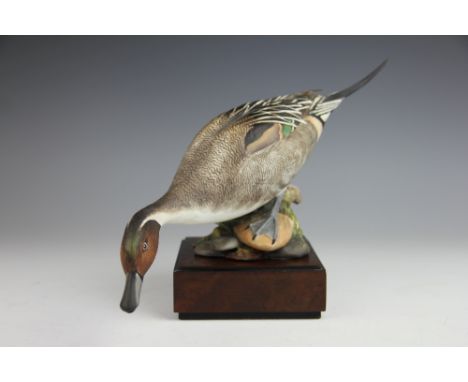 A Royal Worcester American Pintail Drake (Dafila Acuta) modelled by Ronald Von Ruyckveltt, numbered 212 and incised 212, blac