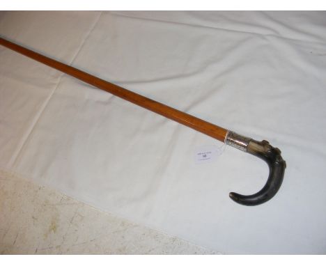 A malacca wood antique walking stick with silver mount and horn handle, Birmingham 1900