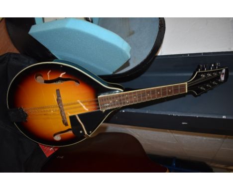 A Stagg mandolin and Stagg padded gig bag