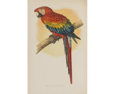 Greene (W.T.) Parrots in Captivity, 3 vol., first edition, 81 wood-engraved plates printed in colours and finished by hand, t