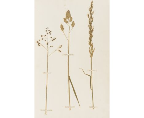 Swayne (G.) Gramina Pascua: or,...The Common Pasture Grasses..., 6 ff. containing 19 actual samples of grasses, each with pri