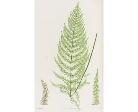 Moore (Thomas) The Ferns of Great Britain and Ireland, edited by John Lindley, 51 plates, nature-printed by Henry Bradbury, t