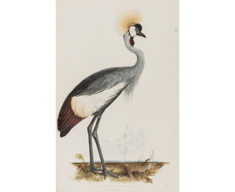 Lear (Edward).- [Gray (John Edward)] Gleanings from the Menagerie and Aviary at Knowsley Hall, 17 fine lithographed plates by