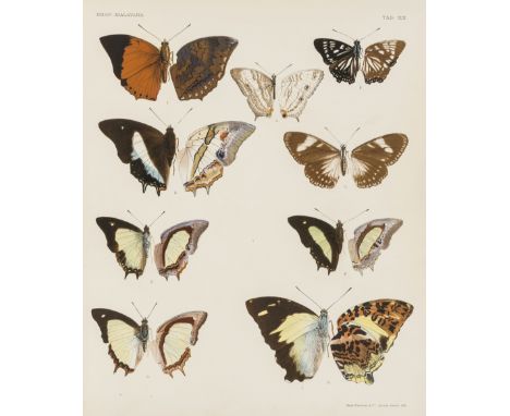 Distant (William Lucas) Rhopalocera Malayana: A Description of the Butterflies of the Malay Peninsula, 2 vol., half-titles (v