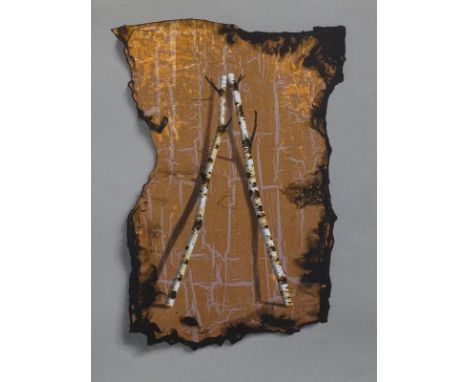 *•Terence Warren (British 1948). Birch Fragment I, signed and dated 1990, titled and numbered 15/25, scree-print, 64cm x 44cm