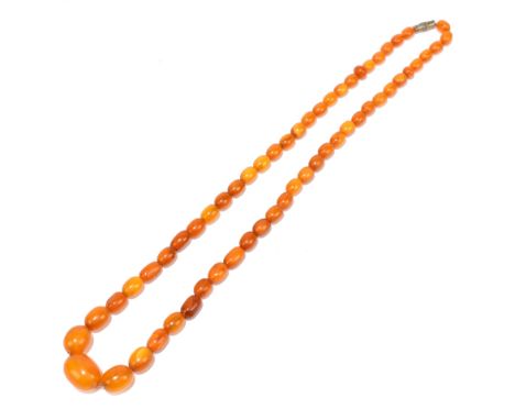 A vintage graduated butterscotch/egg yolk amber coloured bead necklace, length 52cm, largest bead 17 x 14mm, smallest bead 8 