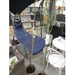 Potted Conference pear tree