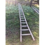 2No galvanised fruit picking ladders