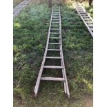 2No galvanised fruit picking ladders
