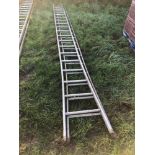2No galvanised fruit picking ladders