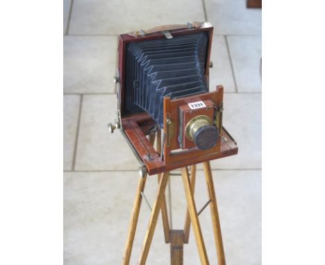 A vintage glass plate camera with mahogany frame and tripod stand, approximately 124cm long part extended, no visible maker's