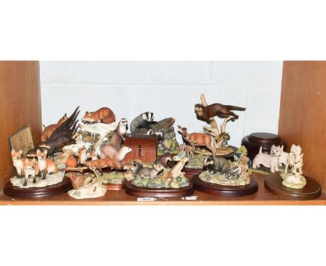 Border Fine Arts British Wildlife models including: 'Cool Reception' limited edition 532/2500, 'River Majesty' limited editio