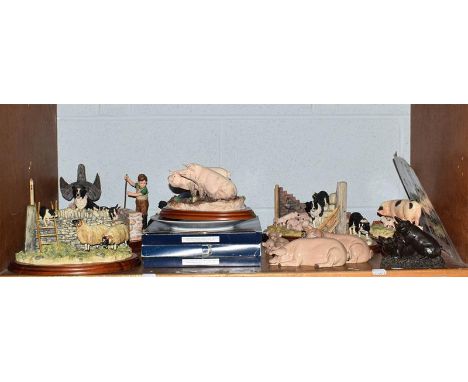 Border Fine Arts pig models including; 'No Scrumpy' A1223, 'Mud Glorious Mud' A0453, and 'Hog Heaven' A1015; together with fi