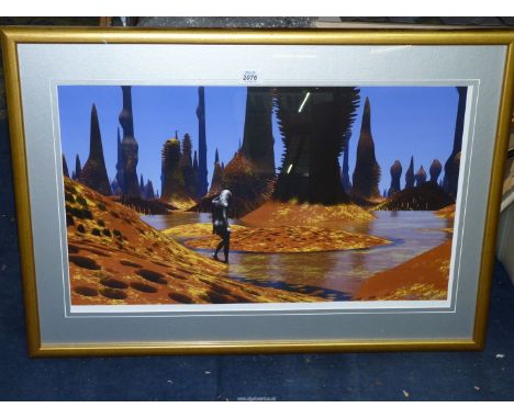 A Limited Edition (1 of 25) framed digital Print titled 'Testing the Water' dated 26/6/2011, signed by the artist Richard Hop