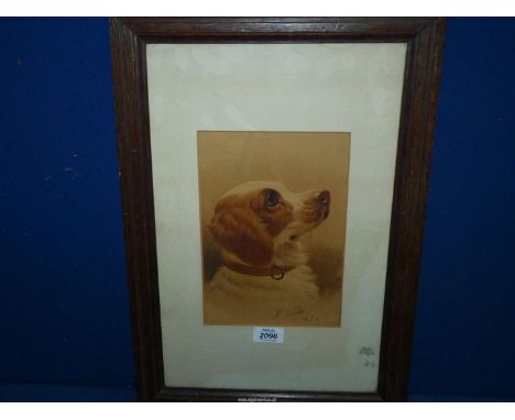 A framed and mounted H. Simon portrait of a Spaniel, dated 1872. 6 1/2" x 9 1/2".