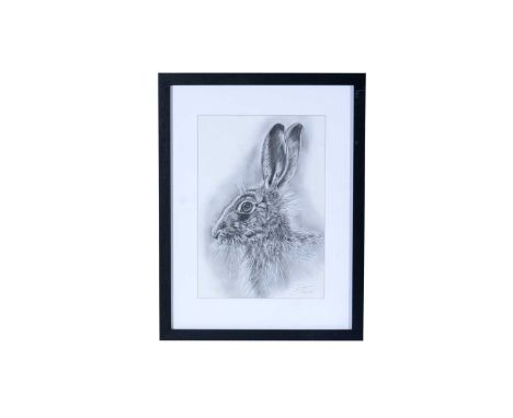 Darcey Trace(Contemporary)Portrait of a Hare,signed,graphite on paper,29 x 20cms, framed.