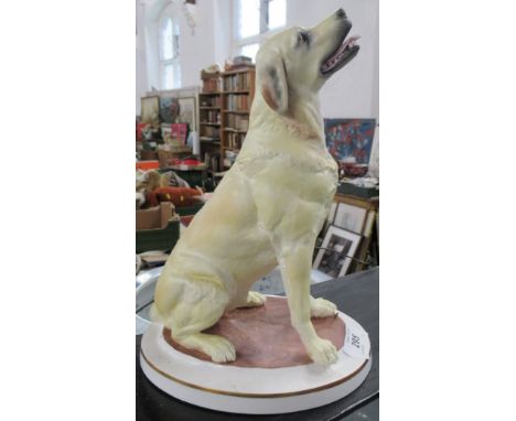 A Royal Worcester model of a yellow Labrador, modelled by Ken Potts, af