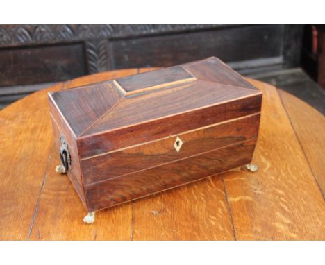 A regency rosewood sarcophagus shaped tea caddy, (lacking glass liner), on later brass paw feet, 17cm H x 29cm W